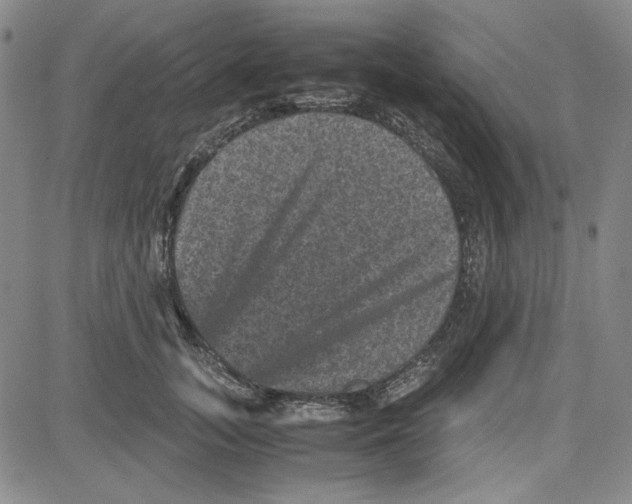 X0000080810755200701051150