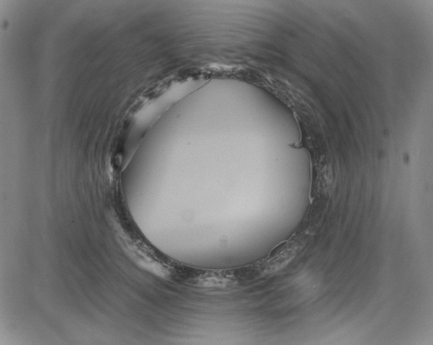 X0000080810756200701051150