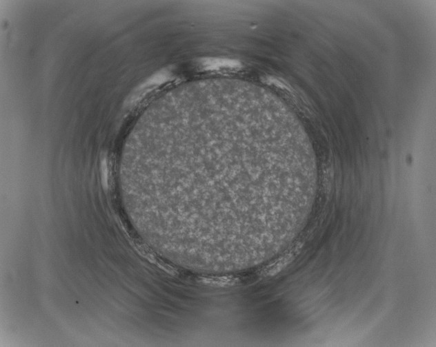 X0000080810757200701051150