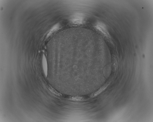 X0000080810758200701051150