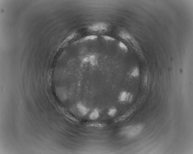 X0000080810759200701051150