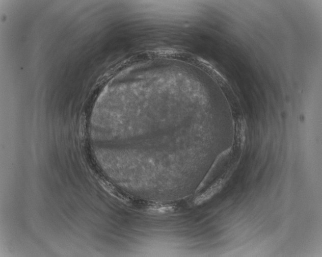 X0000080810760200701051150