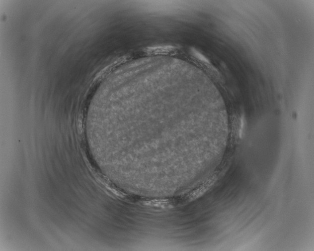 X0000080810761200701051150