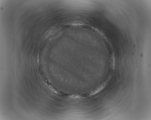 X0000080810762200701051150