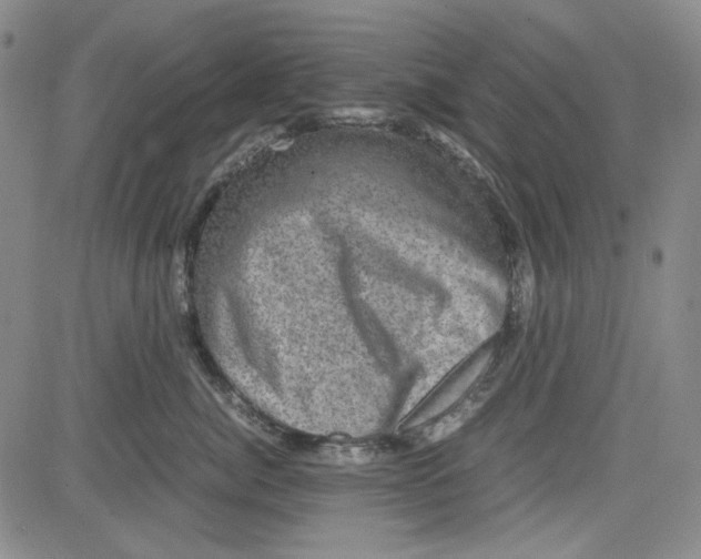 X0000080810764200701051150