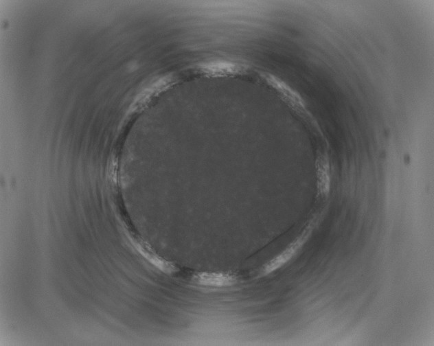 X0000080810766200701051150