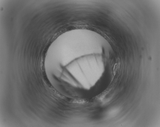 X0000080810767200701051150