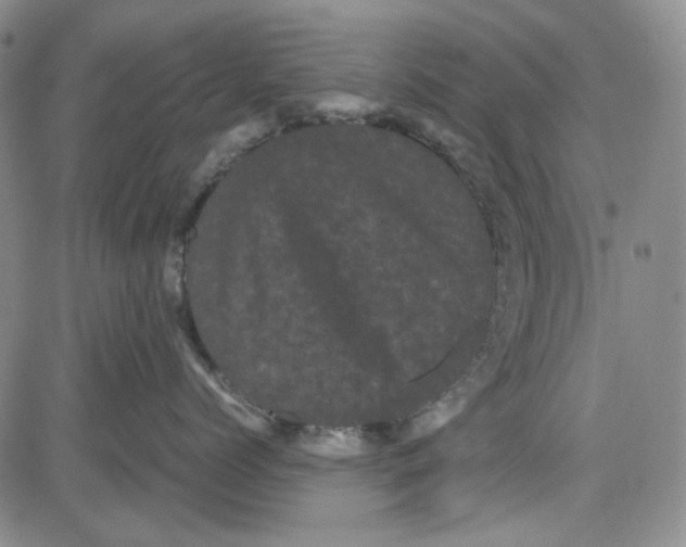 X0000080810768200701051150