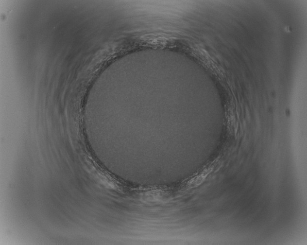 X0000080810769200701051149