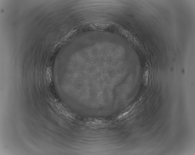 X0000080810772200701051149