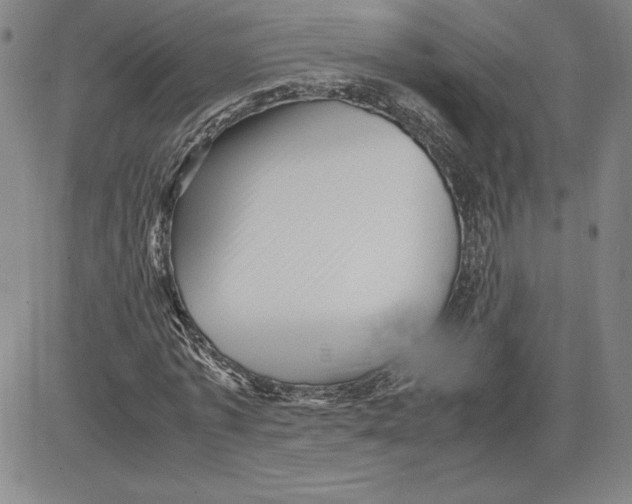 X0000080810773200701051149