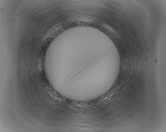 X0000080810774200701051149