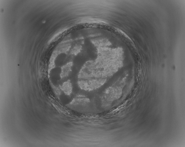 X0000080810775200701051149