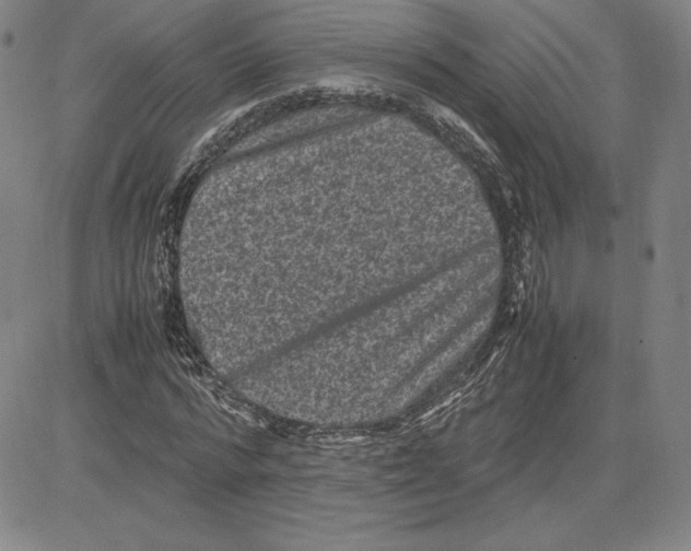 X0000080810776200701051149