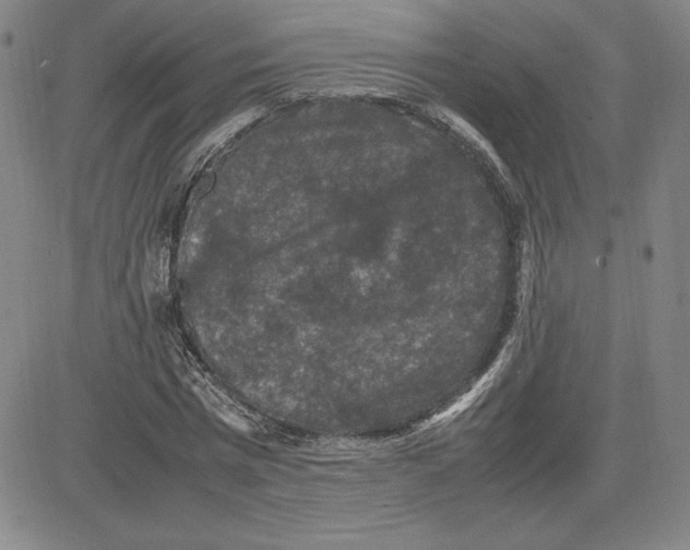 X0000080810777200701051149