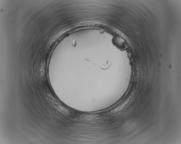 X0000080810778200701051149