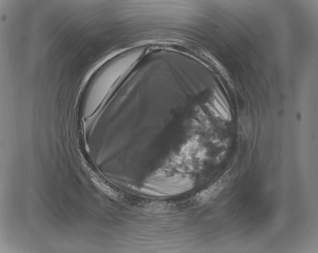 X0000080810779200701051149