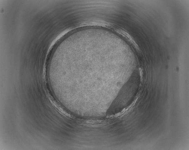 X0000080810780200701051149