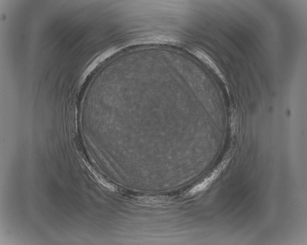 X0000080810781200701051149