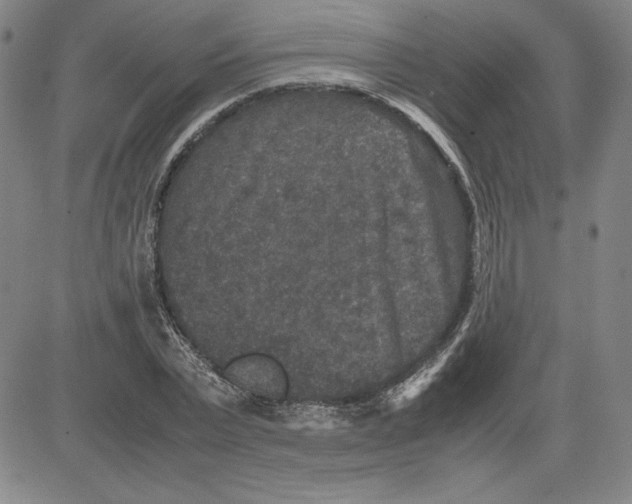 X0000080810783200701051149