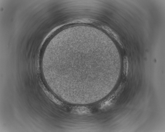 X0000080810784200701051149