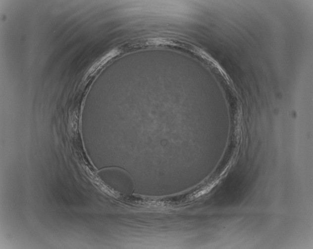 X0000080810785200701051149