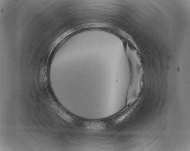 X0000080810786200701051149