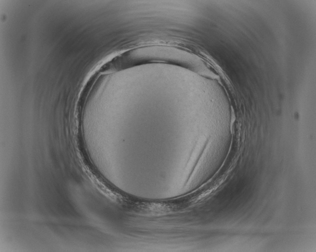 X0000080810787200701051149