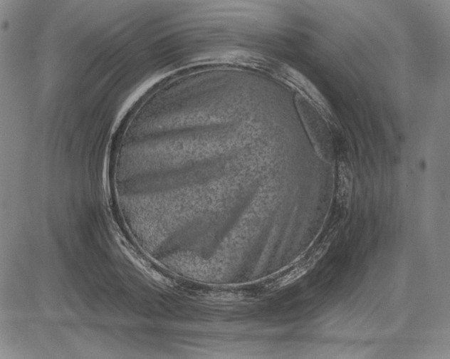 X0000080810788200701051149