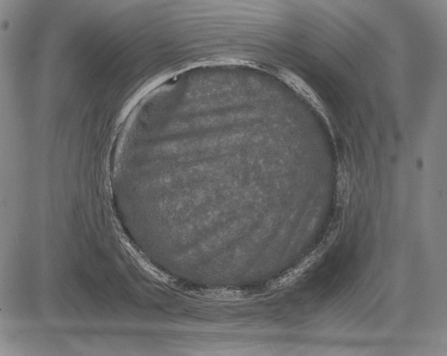 X0000080810789200701051149