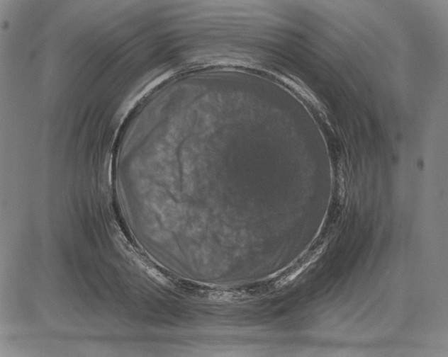 X0000080810790200701051149