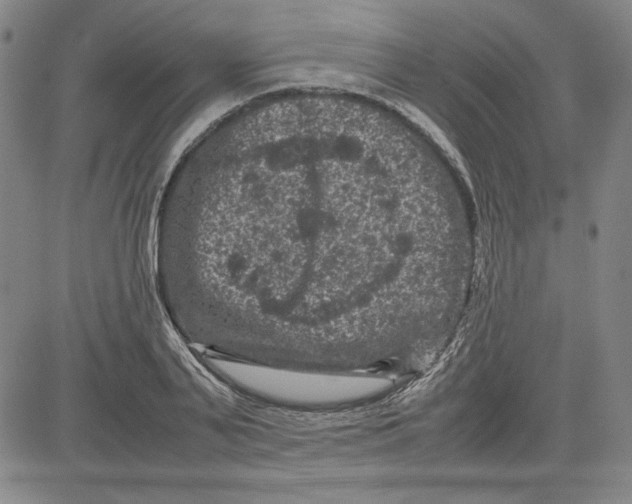 X0000080810791200701051149