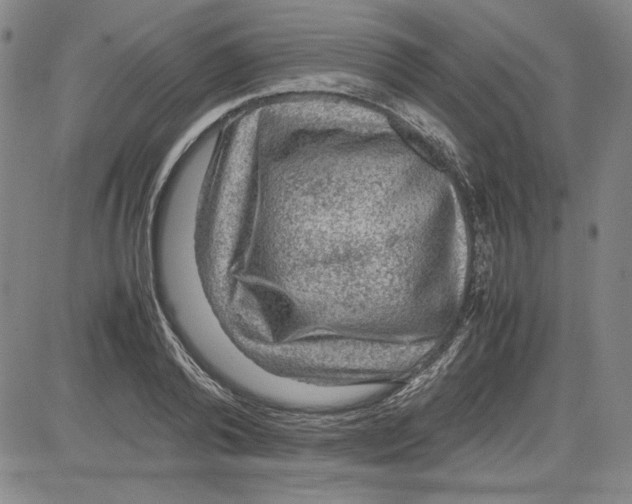 X0000080810792200701051149