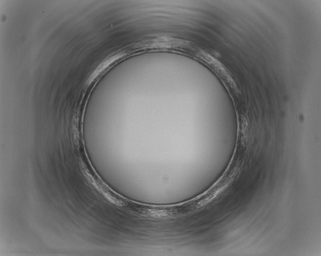 X0000080810794200701051149