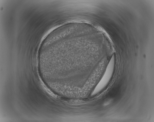 X0000080810795200701051149