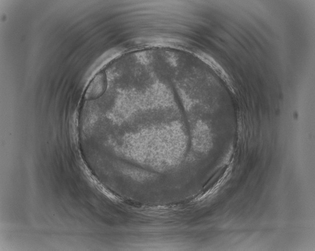 X0000080810798200701051149