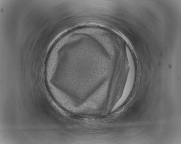 X0000080810799200701051149