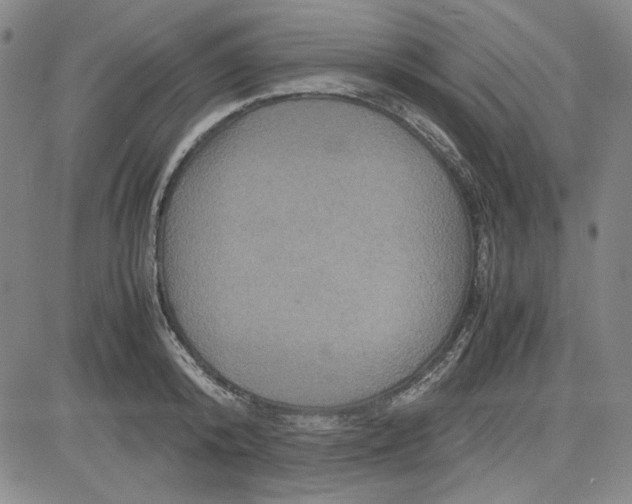 X0000080810800200701051149