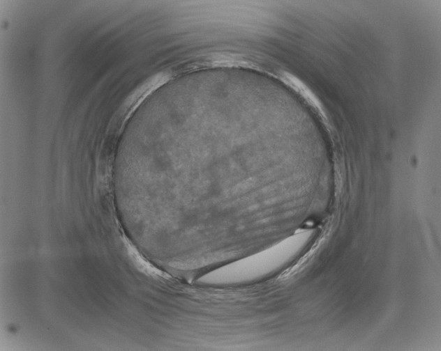 X0000080810801200701051149