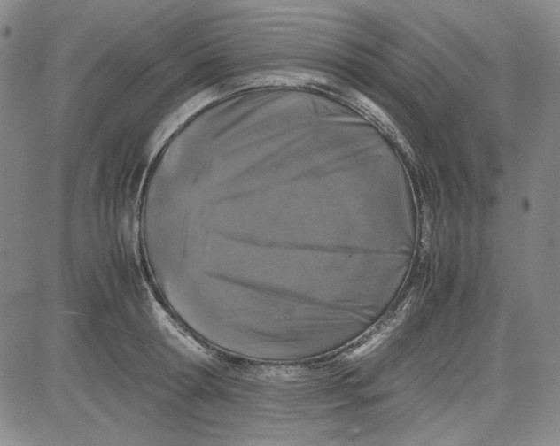 X0000080810802200701051149