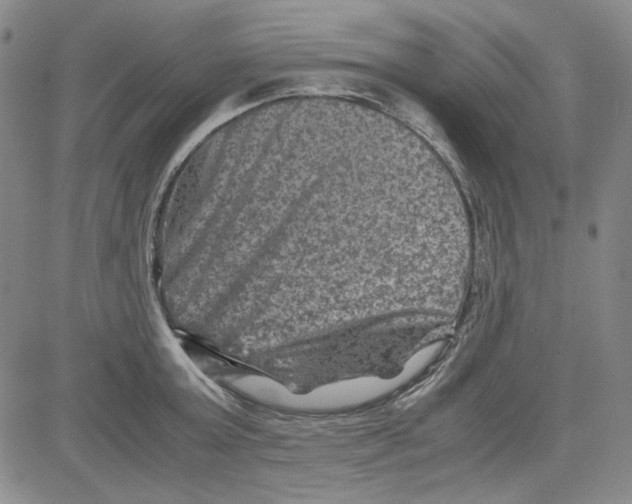 X0000080810803200701051149