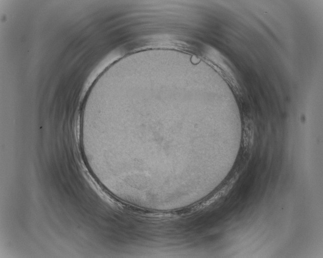 X0000080810804200701051149