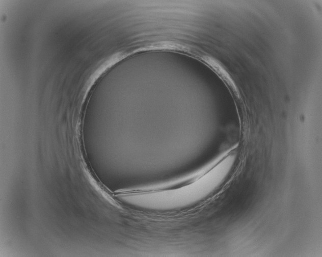 X0000080810805200701051149