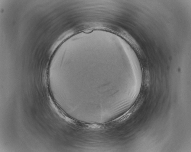 X0000080810806200701051149