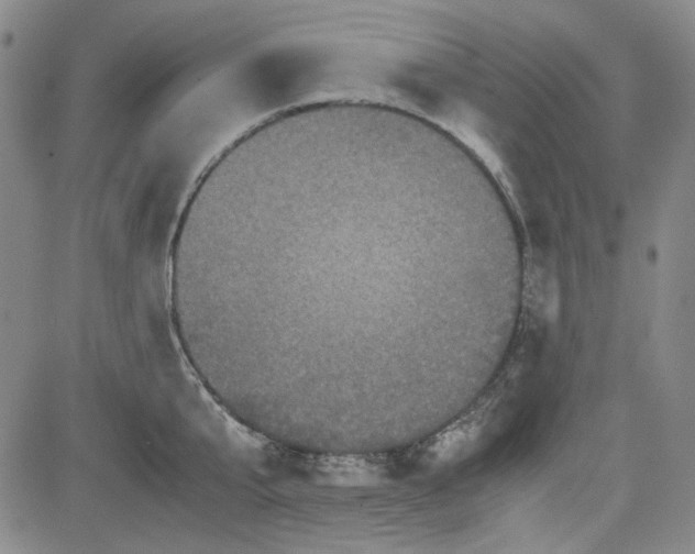 X0000080810807200701051149