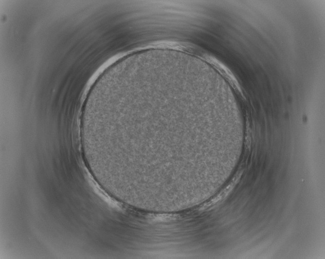 X0000080810808200701051149