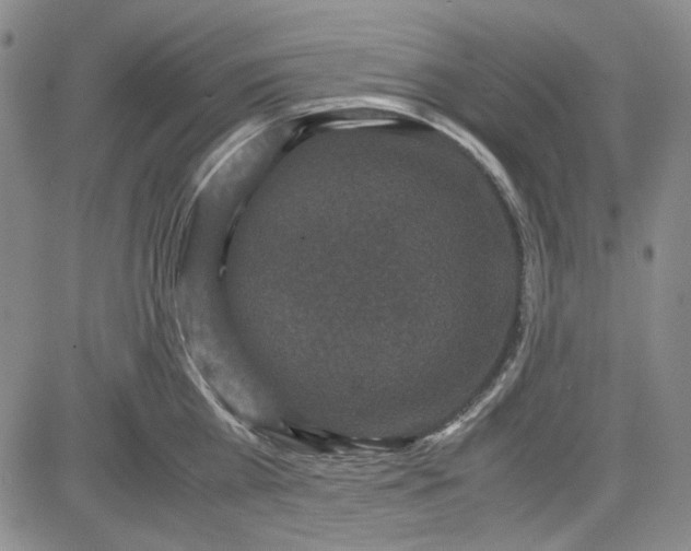 X0000080810809200701051148