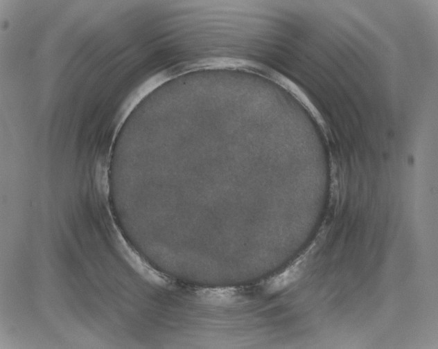 X0000080810810200701051148