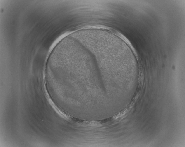 X0000080810811200701051148