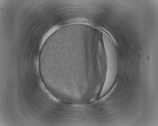 X0000080810812200701051148